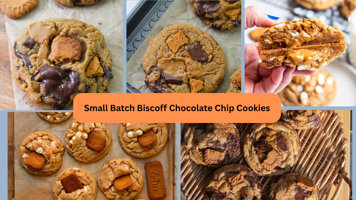 Small Batch Biscoff Chocolate Chip Cookies