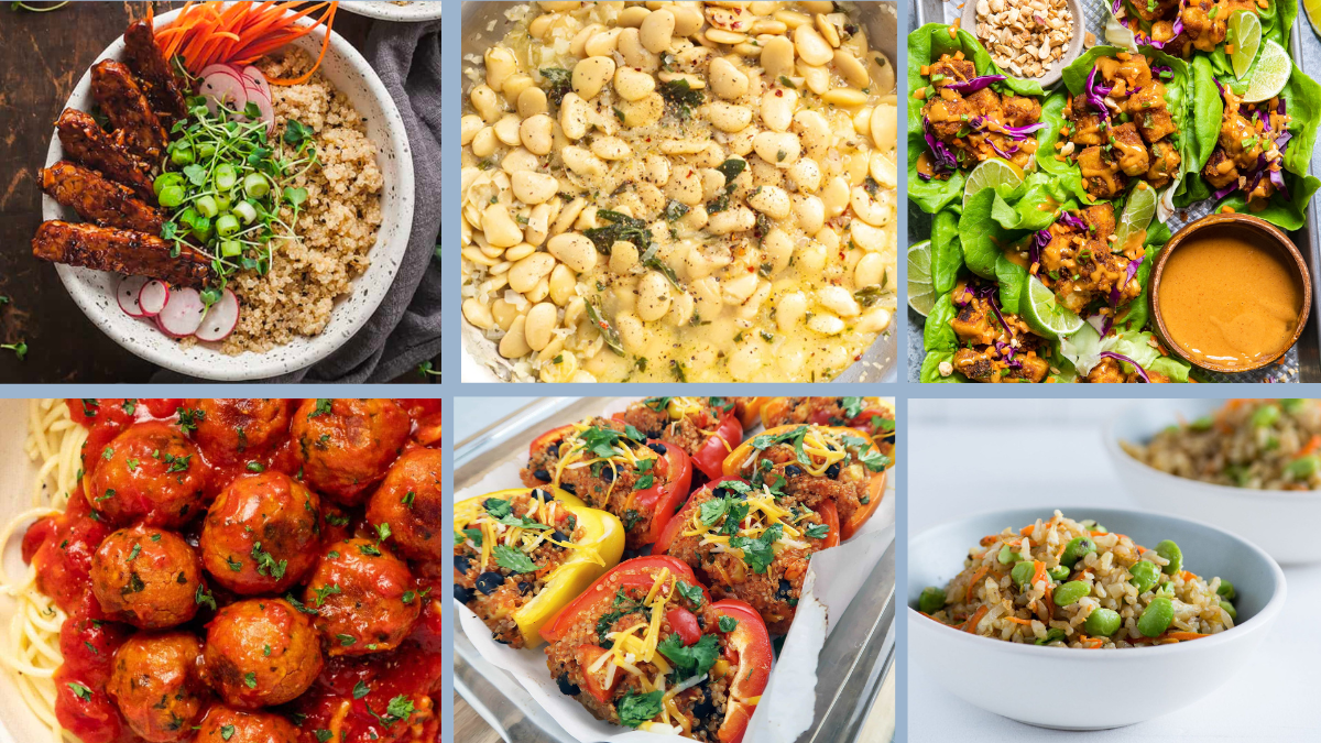 9+ 3-Step High-Protein Dinner Recipes