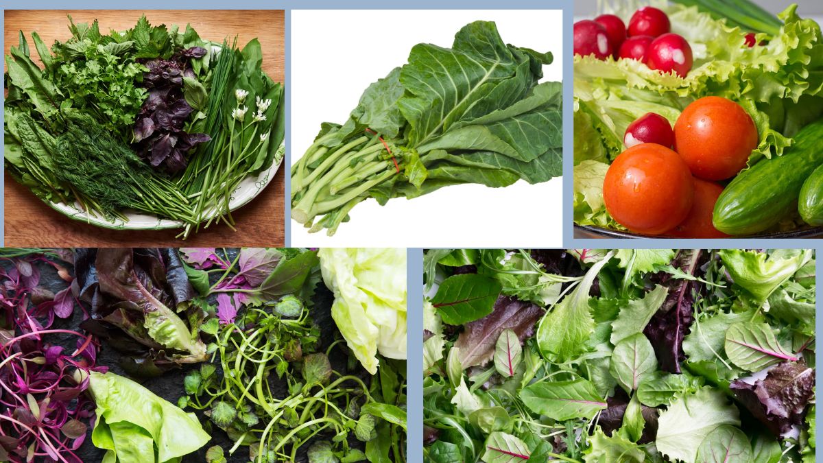 Which Country Eats the Most Mixed Greens in the World?