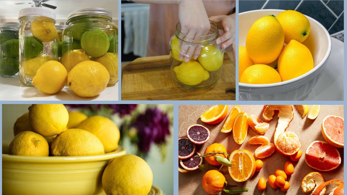 How to Store Lemons and Limes for Freshness