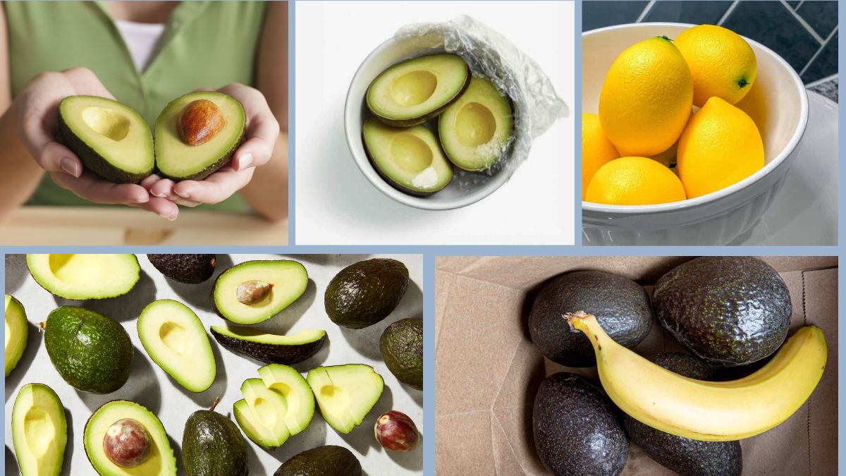 How to Store Avocados to Control Ripening
