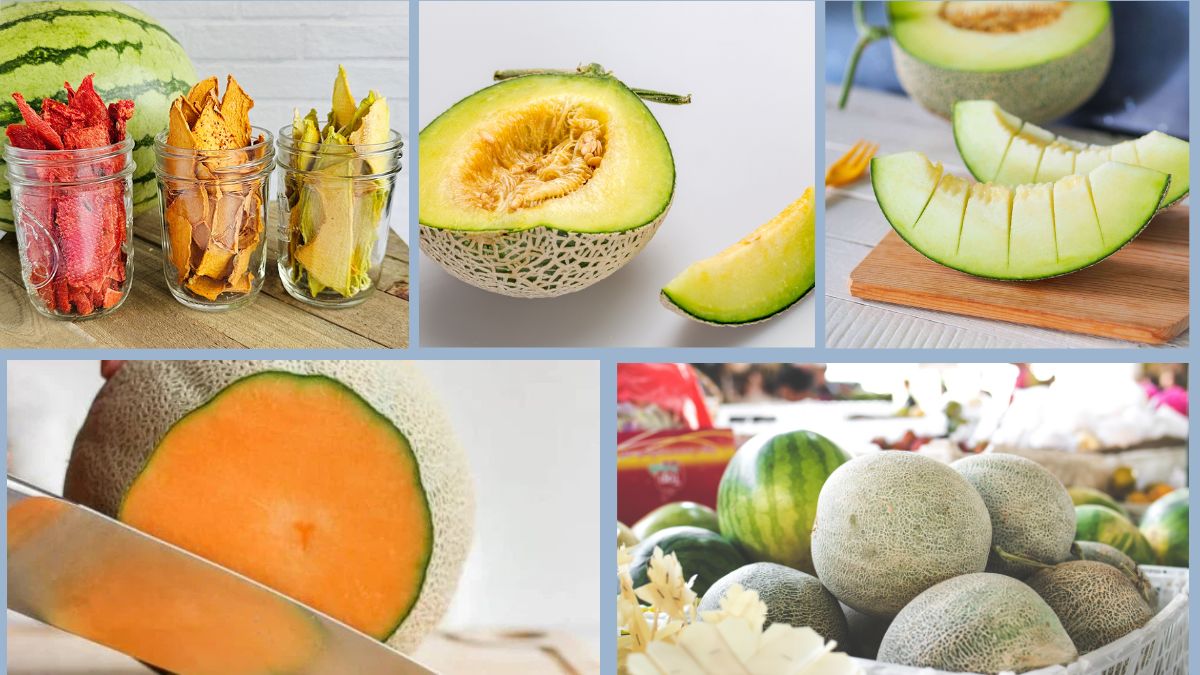 How to Store Melons (Cantaloupe, Honeydew)